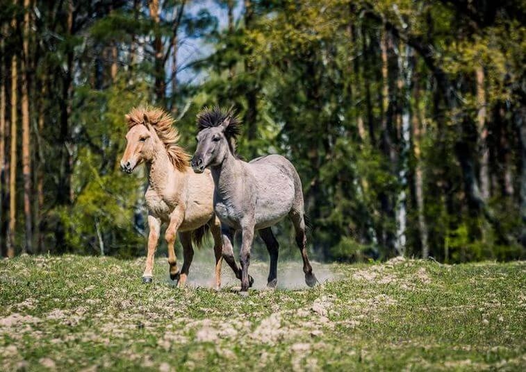 зображення дітей на відпочинку