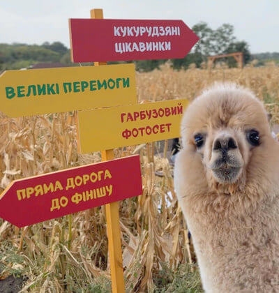 Фото з туру 2
