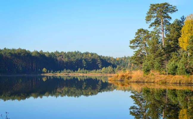 Природні парки та екосистеми: як зрозуміти клімат і середовище